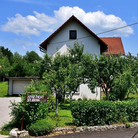 Apartment Stjepan Раковица Экстерьер фото