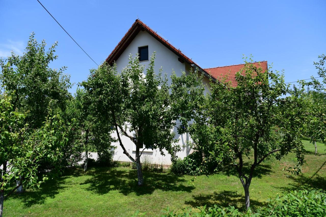 Apartment Stjepan Раковица Экстерьер фото