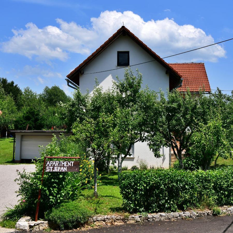 Apartment Stjepan Раковица Экстерьер фото